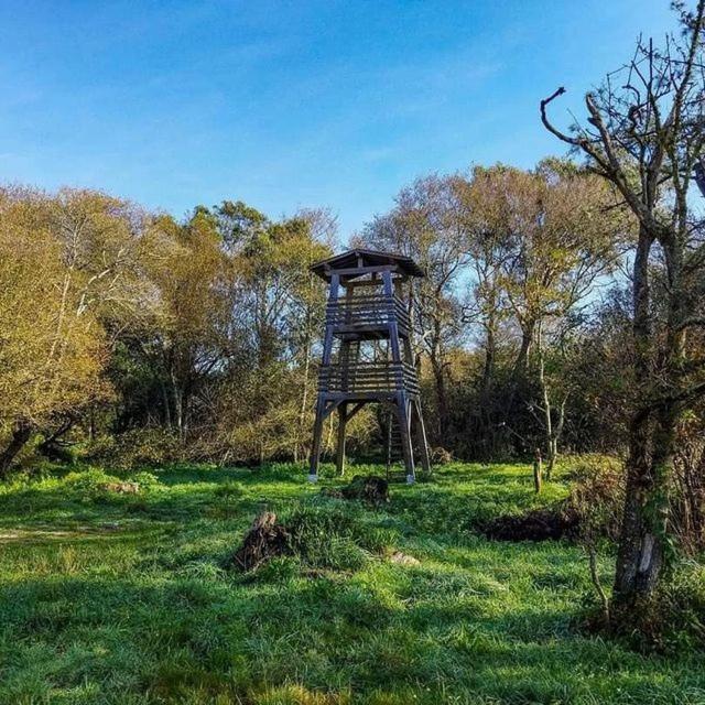 Appartamento Al.Fredos Mindelo Esterno foto